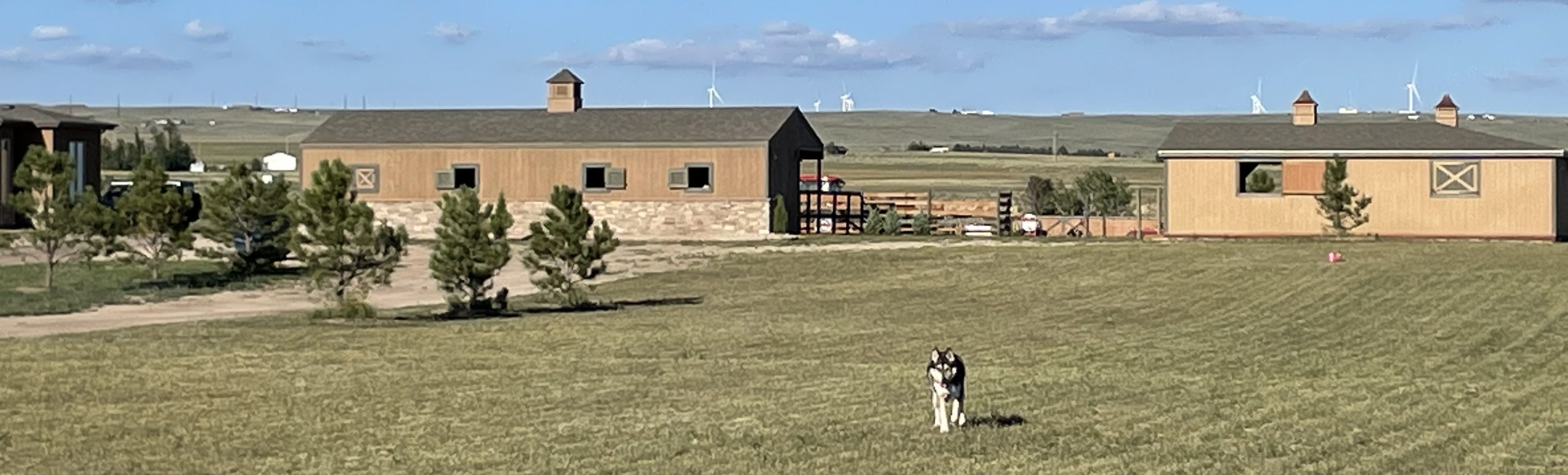 Artillery Farm Beef
